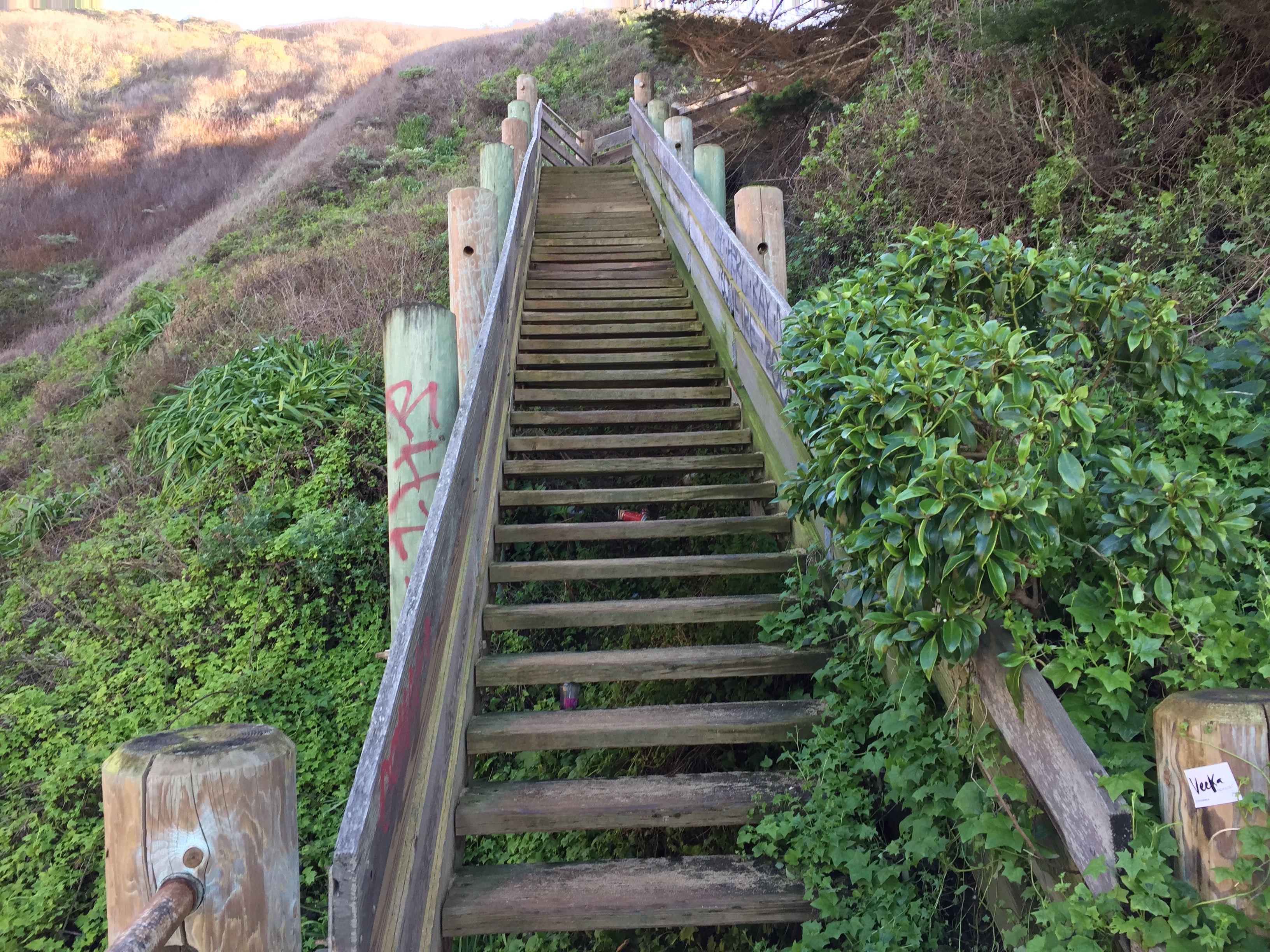 Gray Whale Cove State Beach | Coastside State Parks Association